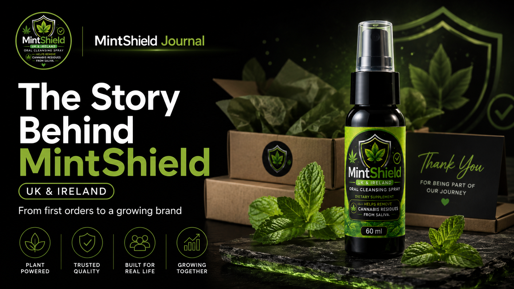 MintShield Journal #3
