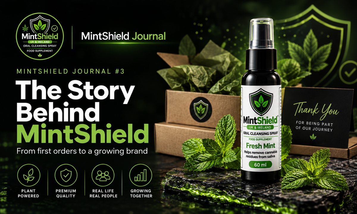 MintShield Journal #3