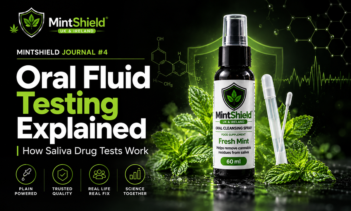 MintShield Journal #4
