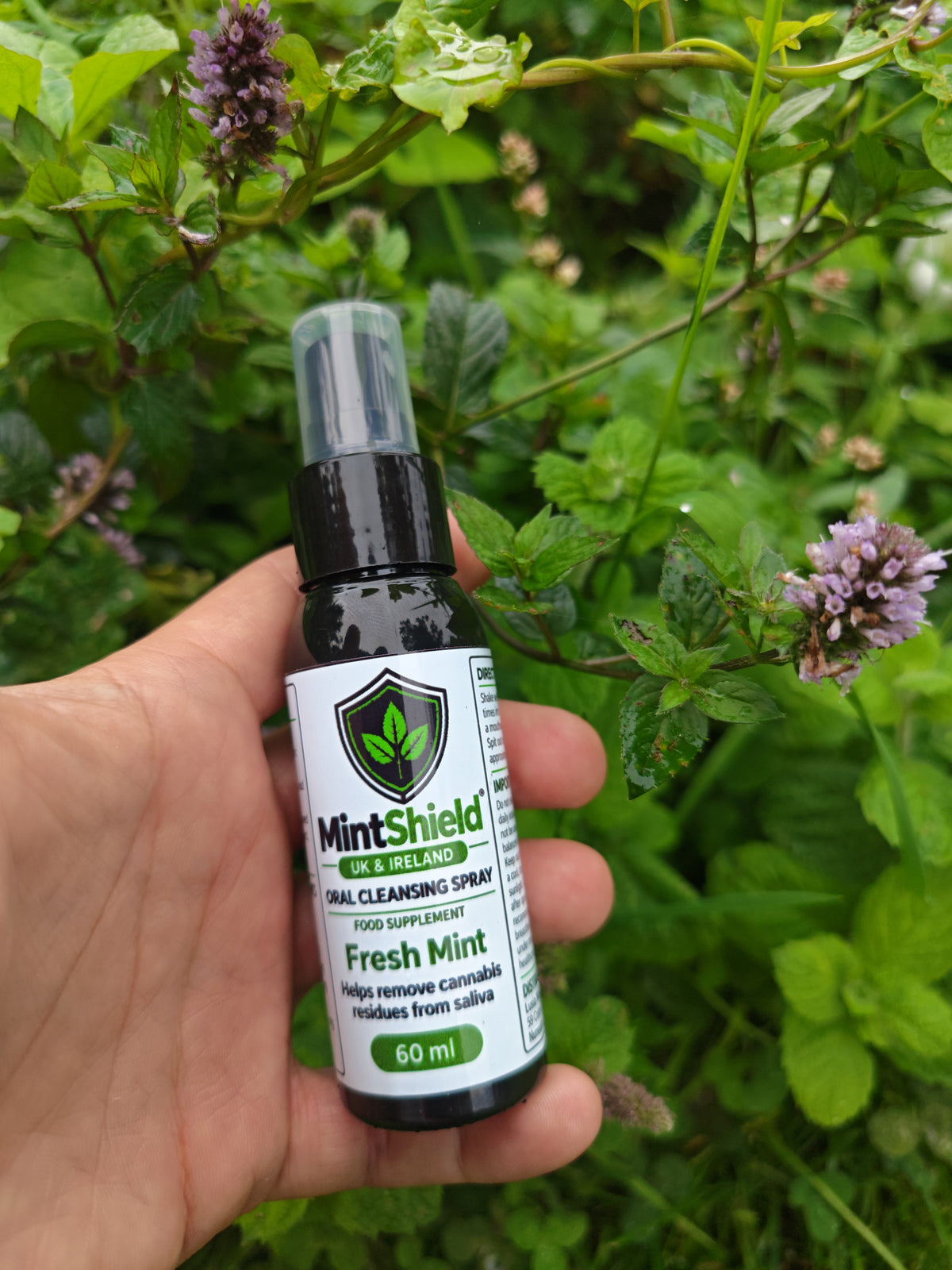 A hand holding a bottle of MintShield Fresh Mint Oral Cleansing Spray against a background of green leaves and purple flowers.